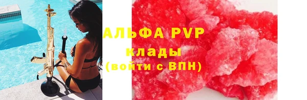 стафф Ладушкин