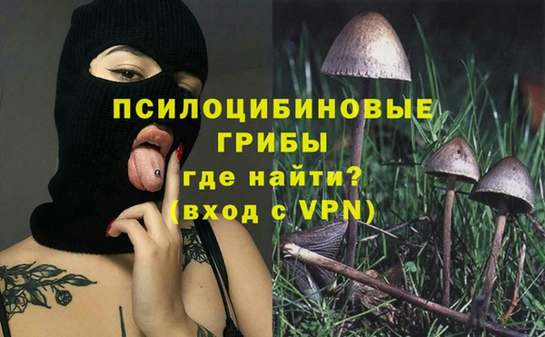 мет Лагань