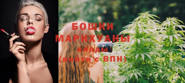 мет Лагань
