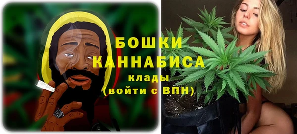 крисы Лабытнанги