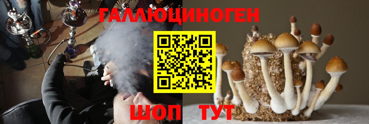 Галлюциногенные грибы мухоморы Камень-на-Оби