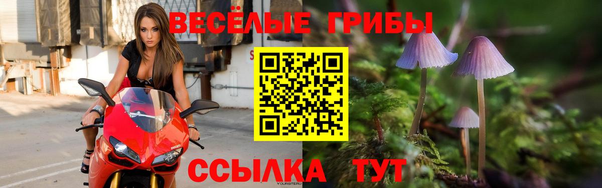 Псилоцибиновые грибы мицелий  Псилоцибиновые грибы Magic Shrooms  Камень-на-Оби 