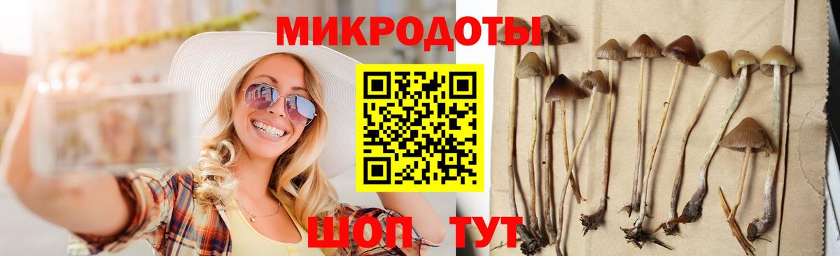 Камень-на-Оби  Галлюциногенные грибы мухоморы  Вход с VPN 